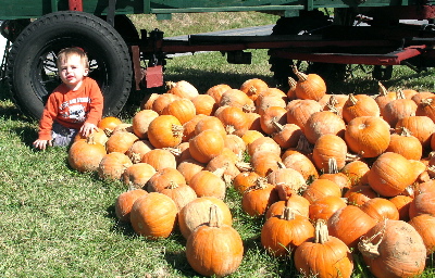 Liam with pumpkins